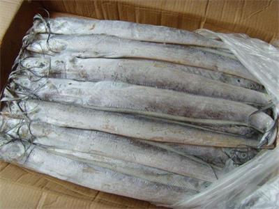 青島港到日照專業(yè)化進口冷凍魚蝦清關(guān)代理公司